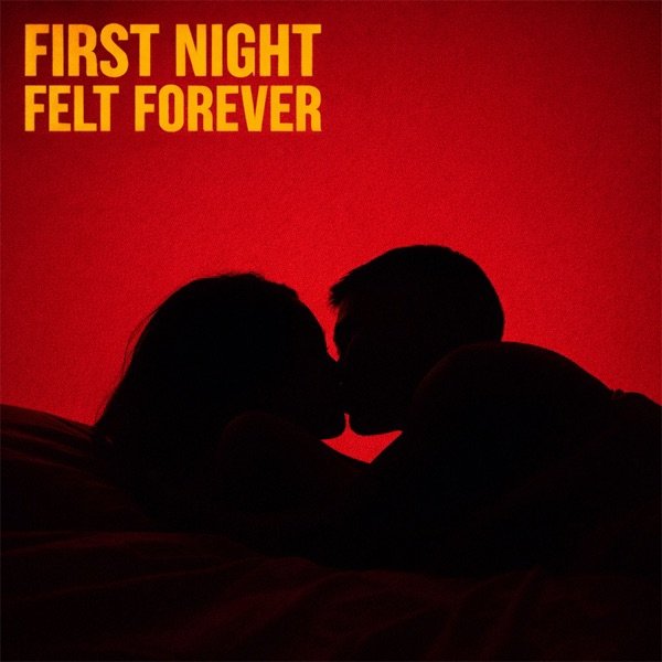Dewian Gross - First Night Felt Forever