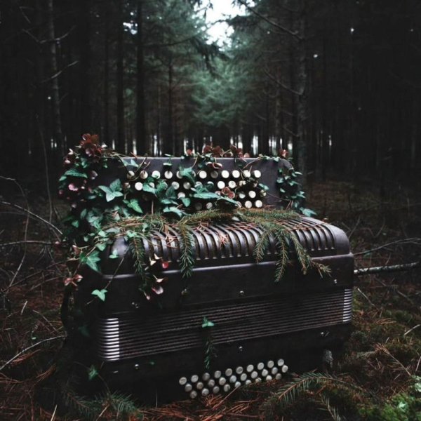 XLAD - Сыпь, гармоника