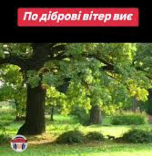 LeriOne (Валерій Гуменюк) - По діброві вітер виє