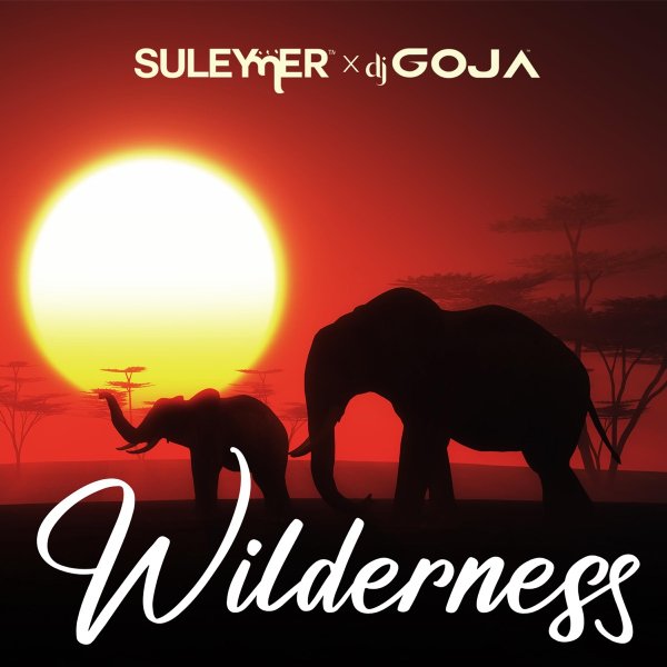 Suleymer x Dj Goja - Wilderness