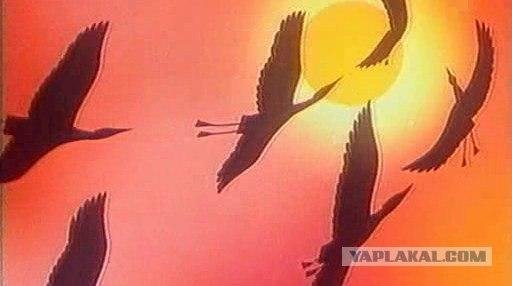 В мире животных - музыка В МИРЕ ЖИВОТНЫХ