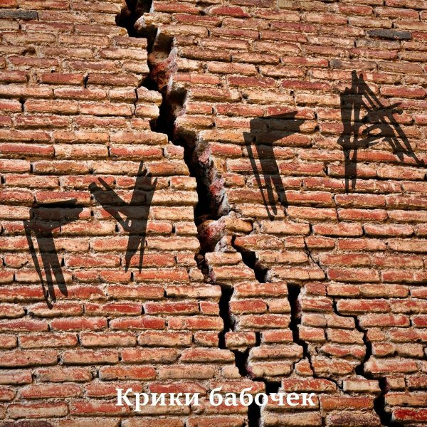 Крики бабочек - Защеканский вальс
