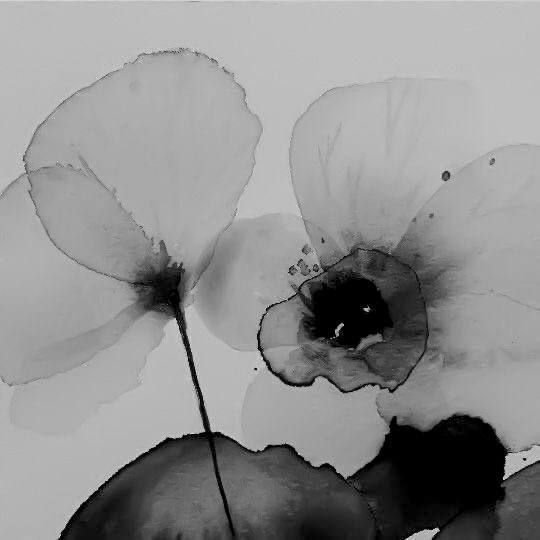 TOKYO NOIRE - ЦВЕТЫ ЛУЧШE ПУЛЬ