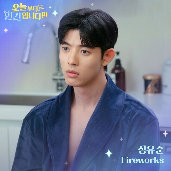 Jang Yoo Jun - Fireworks