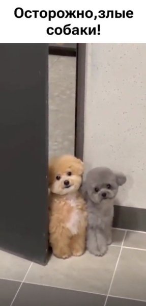 GOODWIN - Ля ля ля