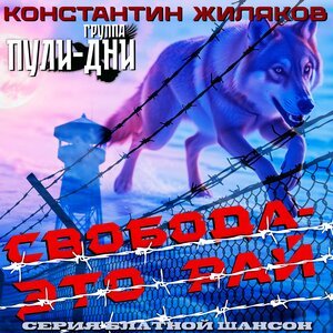 Константин Жиляков, Группа Пули-Дни - Бубновый туз
