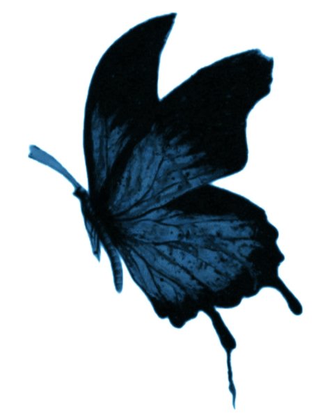 Почему Бабочка - Иди от