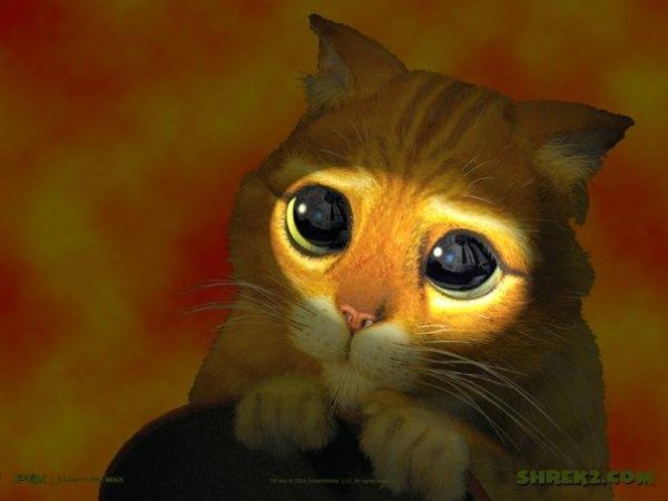 zloy ANGEL - прости прощай