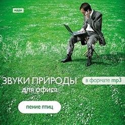 Звуки природы - Зарянка