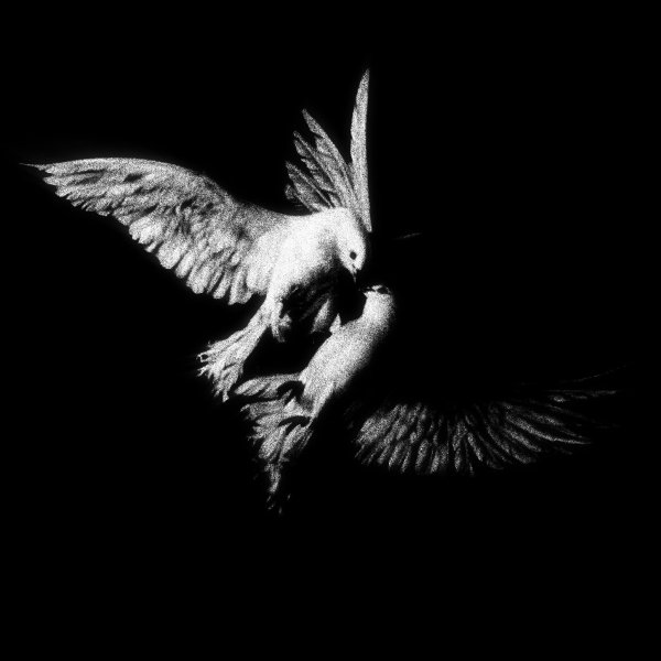 Temphiot - Shöckface - Dreamland (Ft. Lauren Martinez) (Temphiot Remix)