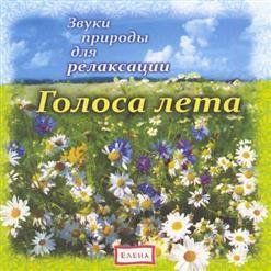 VA - Поле в полдень