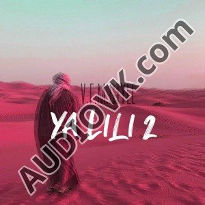 V.F.M.style - Ya Lili 2