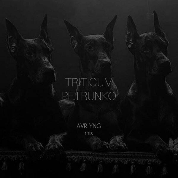 Triticum - Petrunko (AVR YNG rmx)