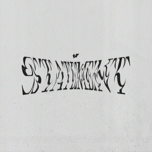 TF - Statement