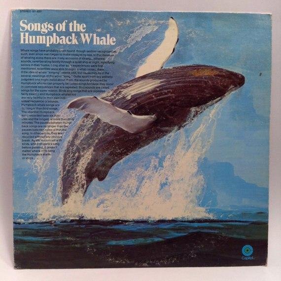 Dr. Roger S. Payne - Distant Whales