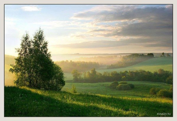 Georg Philipp Telemann - Triosonata in la minore TWV 42 a4  Affettuoso