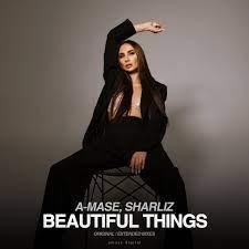 A-MASE &amp; SHARLIZ - BEAUTIFUL THINGS