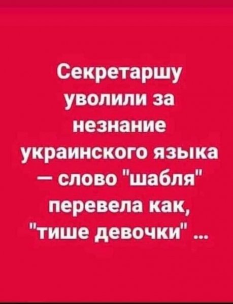 fdb78c4d73e85d8ecd4c809383a