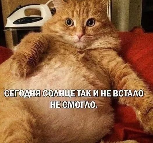 Надо миской позвенеть)