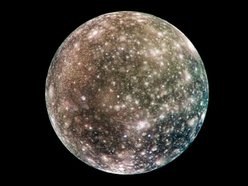 kallisto