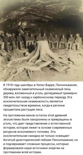 IMG-f596e30f754336fe5f9c36ba725528b4-V