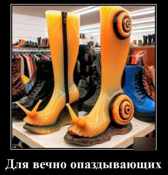 Сапоги скороходы