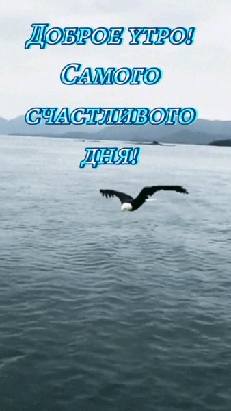 Доброе утро!