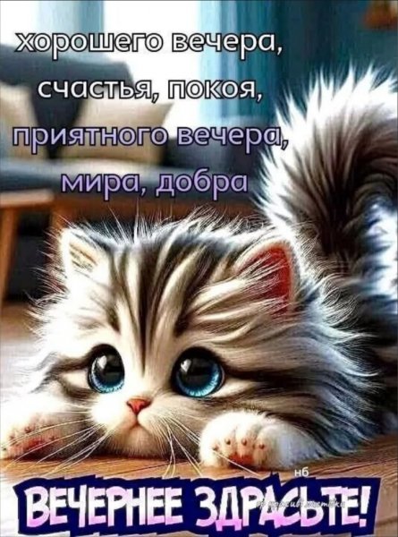 7d8015d461a1d801d0ffe58fa4042804
