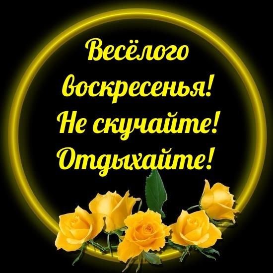 Друзья мои!