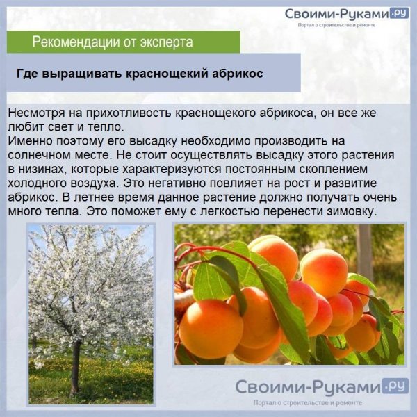 Для нашего сада