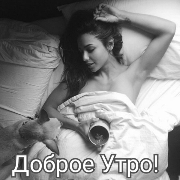 Доброе Утро Друзья!