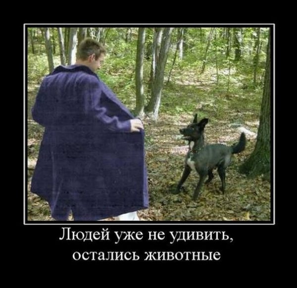 pics