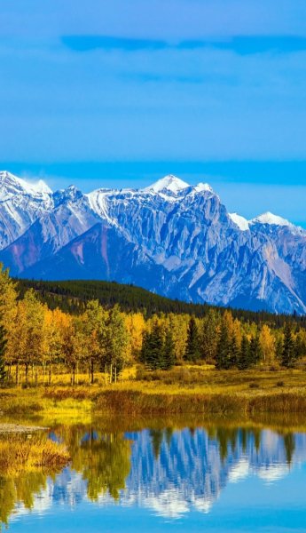 Screenshot 20260326-141832 One UI Home