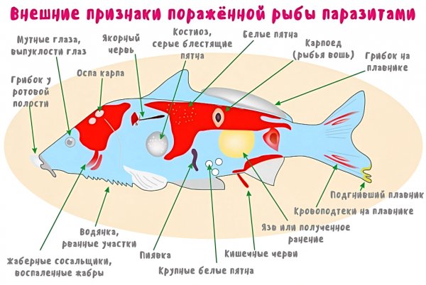 Паразиты пресноводных рыб