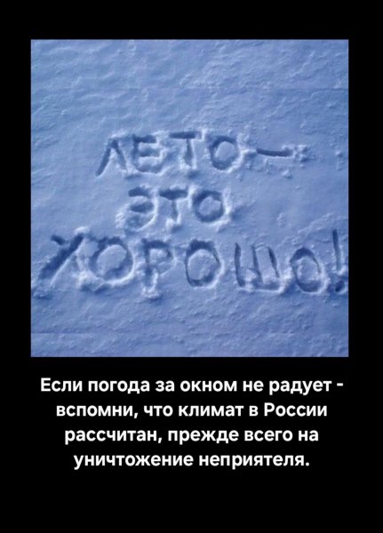 picture_385779557
