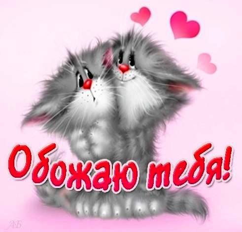 обожаю тебя