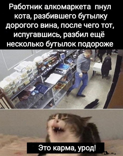 IMG 20241002 132531 883