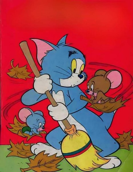 FB IMG 1723971726316