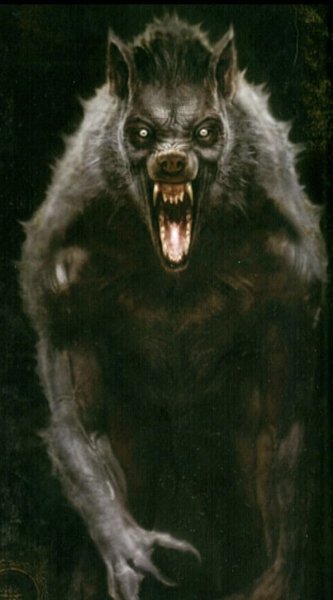 polinka-top-p-oboroten-foto-kartinki-vkontakte-51