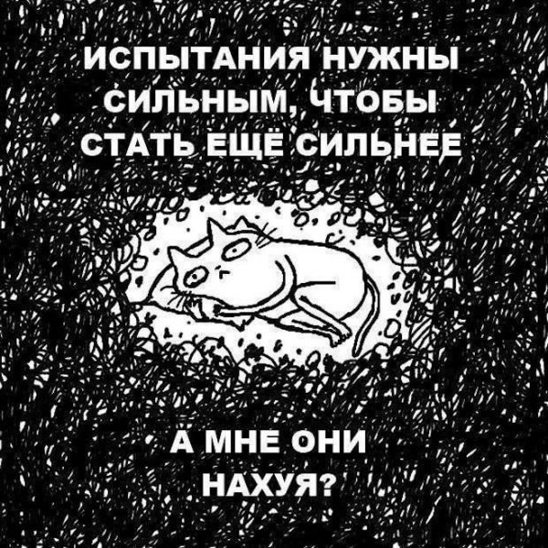-pozhalovat-v-mir-svezhih-memov-i-smeshnyh-kommentariev-8