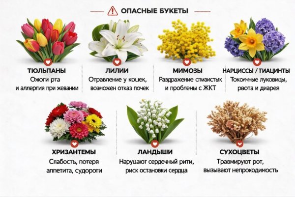 IMG 20260306 184724 623