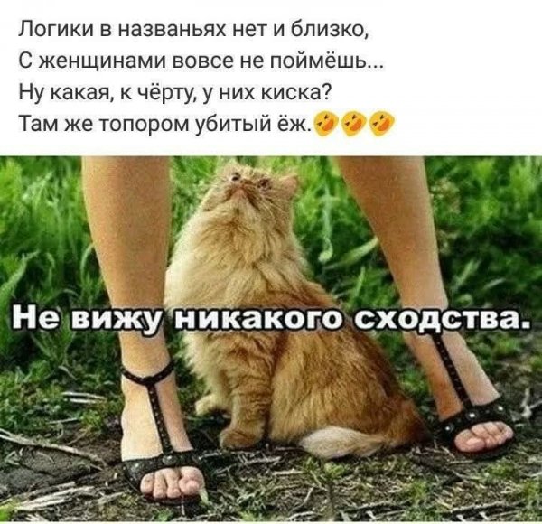 picture_412677920