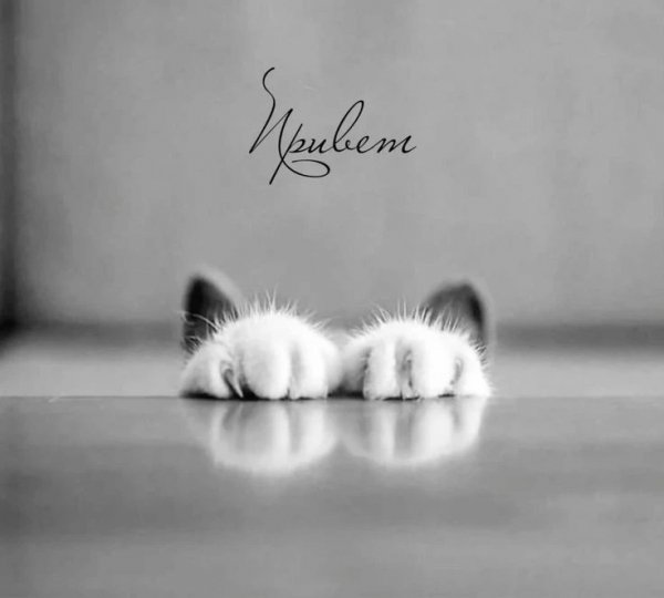 IMG 20260115 184848 677