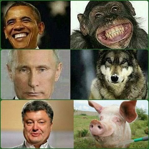 Кто есть кто