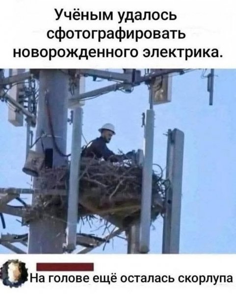 2b3cbfe336957aacc94bea98a2c1ea65