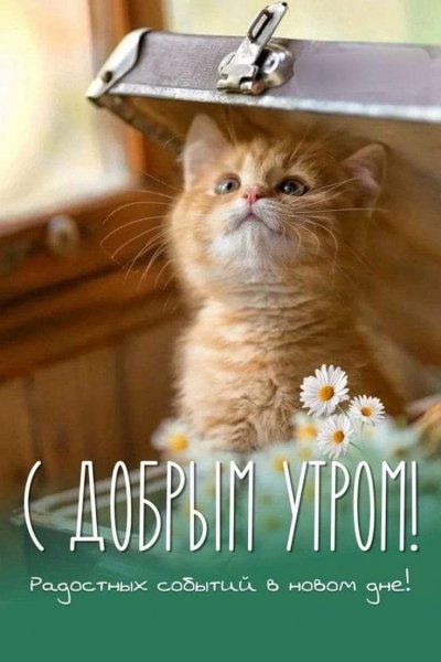 a79-4366-489c-b4cb-7779c860ce96