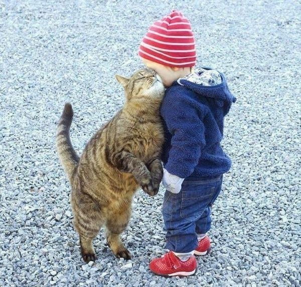 0bc3f2304e01dfafe8fb