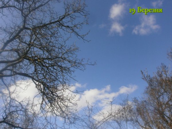 19 Березня