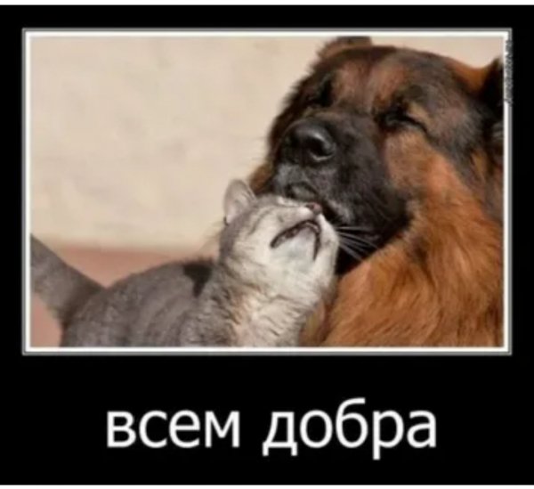 Да!!!