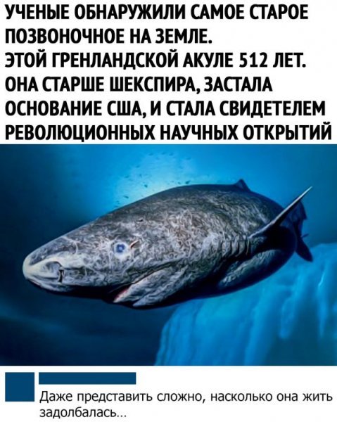 p.600.600.0